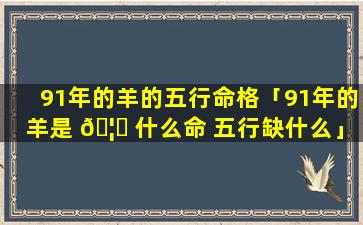 91年的羊的五行命格「91年的羊是 🦋 什么命 五行缺什么」